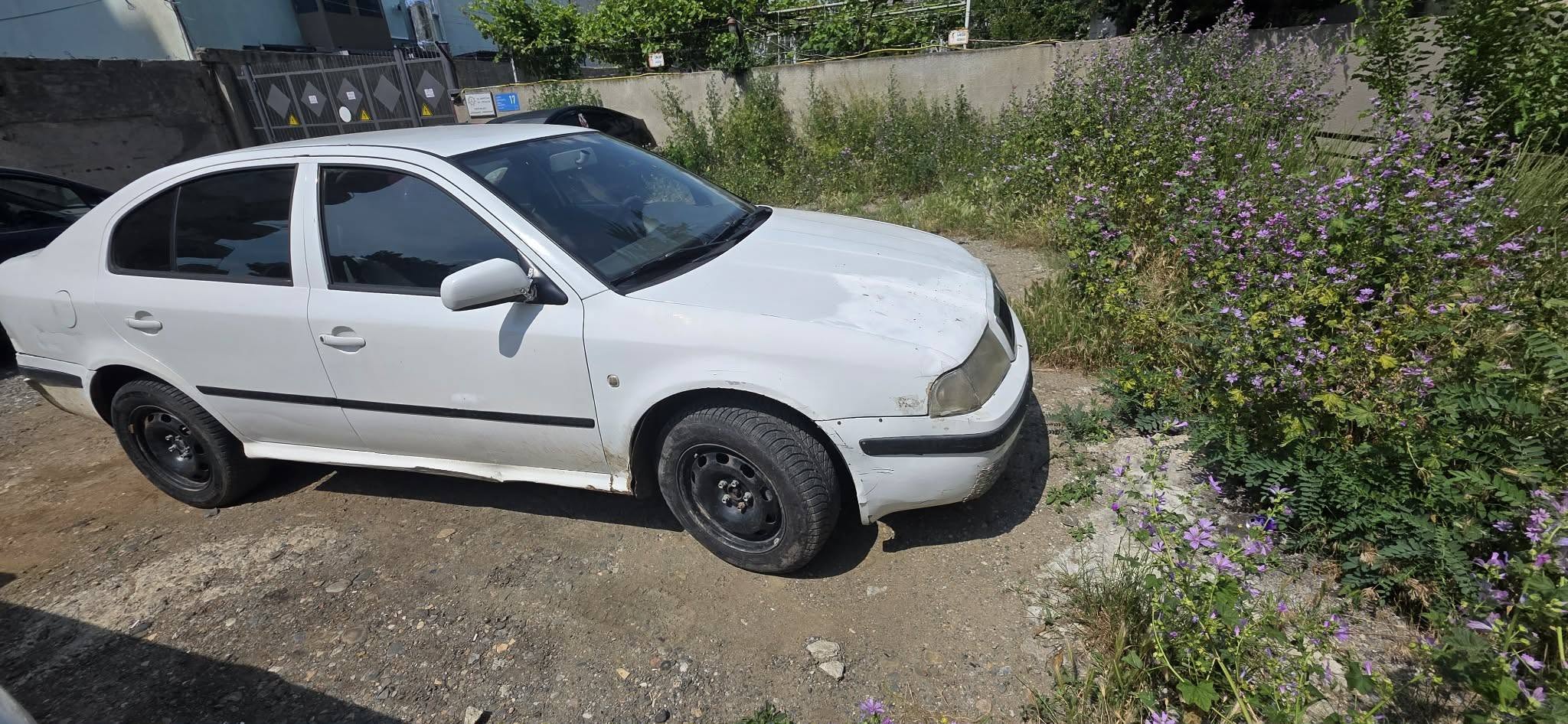 Satılık Škoda Octavia, teknik olarak bakımlı, vizyon - 1,300$