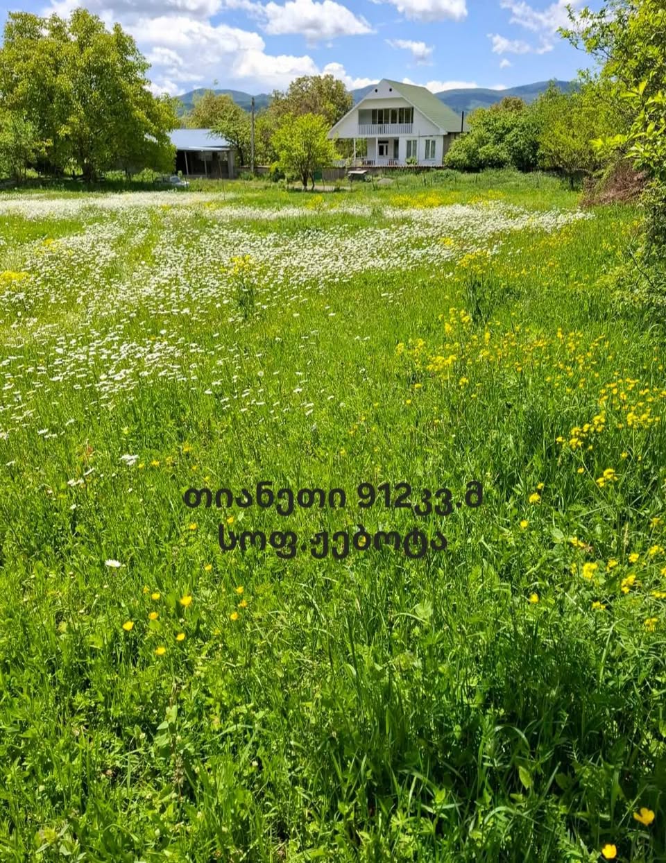 Kesim 912 m², Tianeti, Jebota