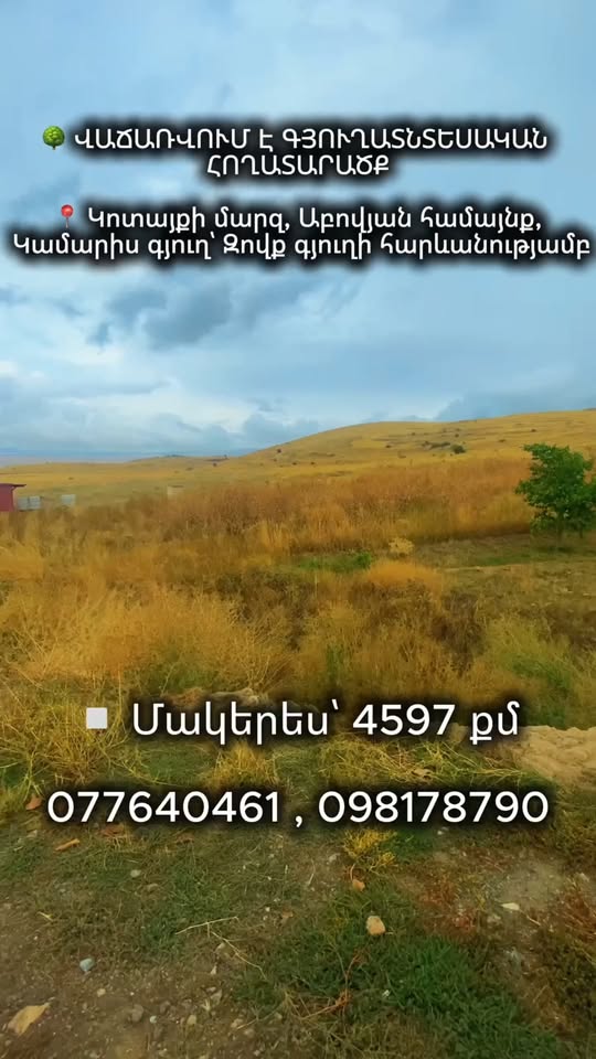 🌳 ՎԱՃԱՌՎՈՒՄ Է ԳՅՈՒՂԱՏՆՏԵՍԱԿԱՆ ՀՈՂԱՏԱՐԱԾՔ 📍 — 20,000,000֏
