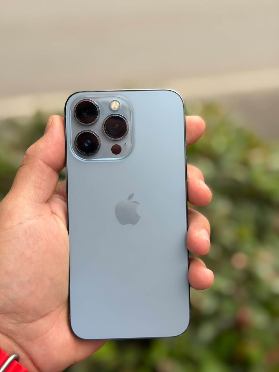 Installment for Credo, TBS and Georgia iPhone 13 Pro-128 — 800₾