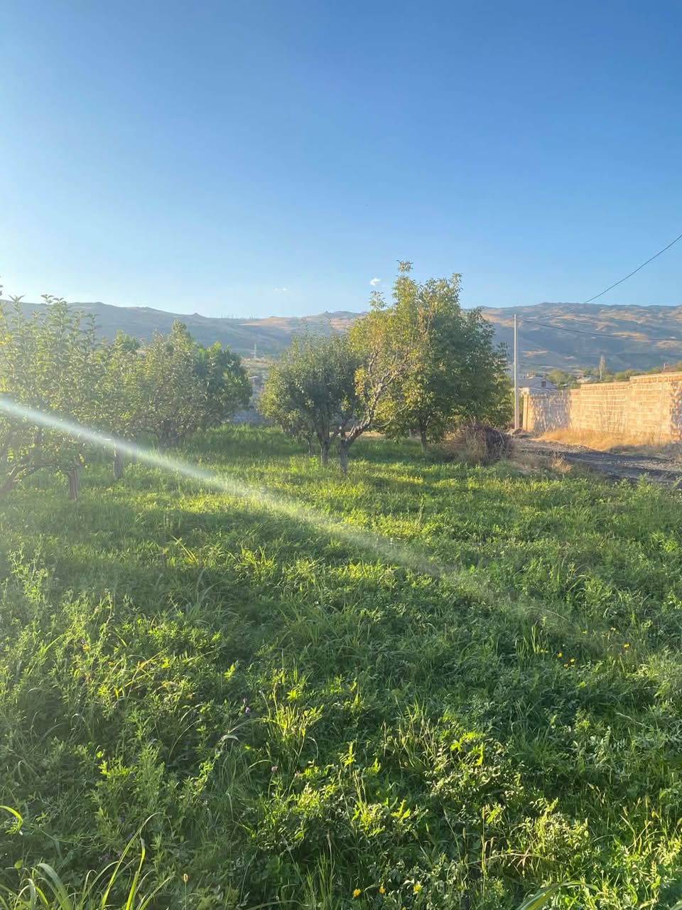 Torpaq — 30,000 դոլլար