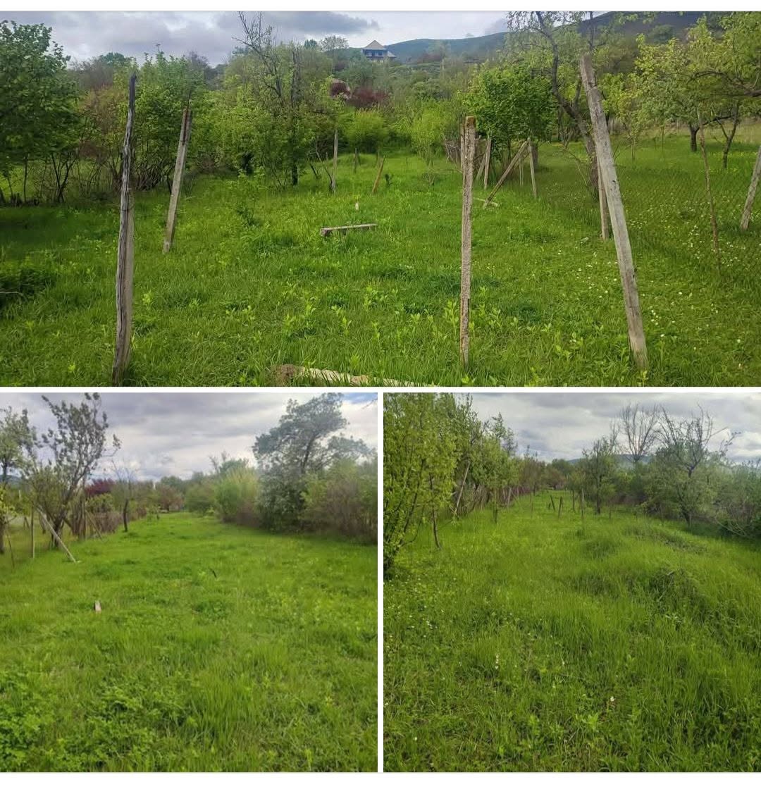 Mtsxetanın rayonunda kənddə torpaq sahəsi satılır