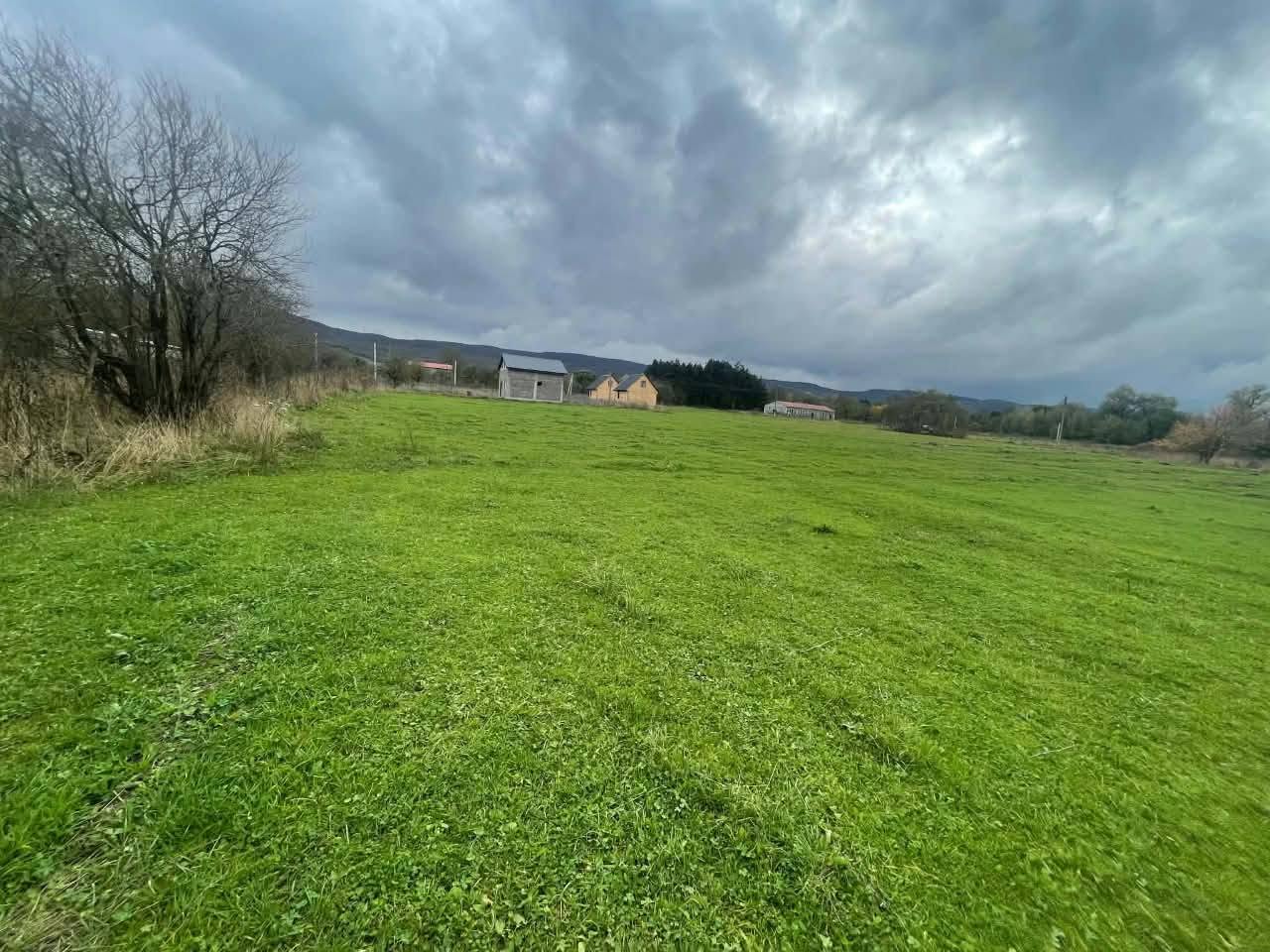 Arazi, Tianeti — $26,500