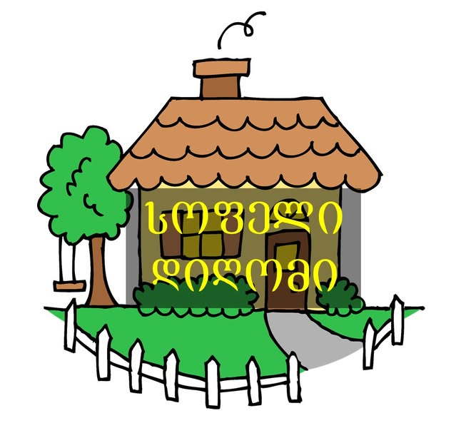 ვმუშაობ ლესვაზე გაჯი გიპერი სილა