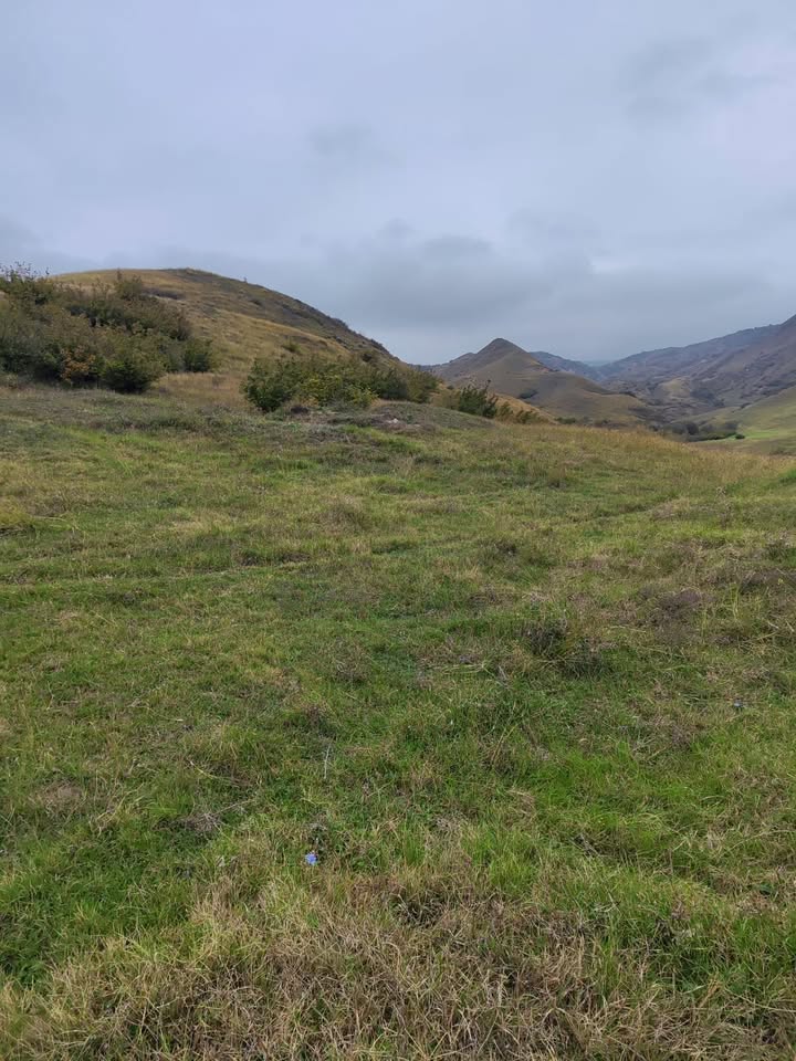 Arazi, Tiflis — $73,000