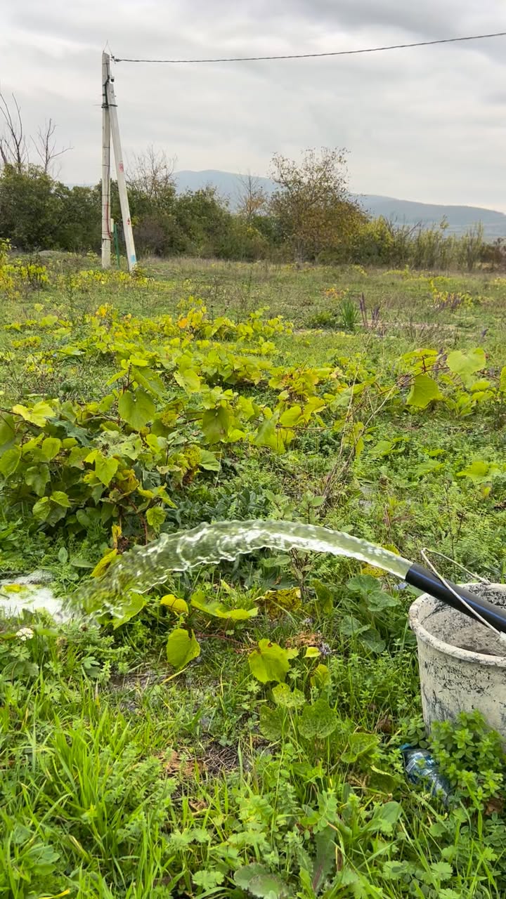 Torpaq sahəsi, Tbilisi — $15