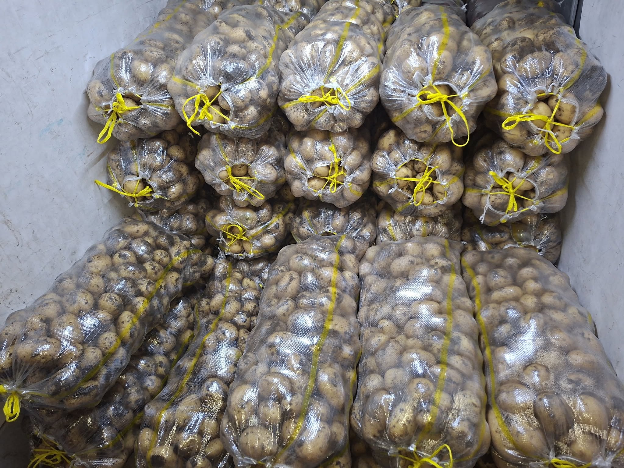 Potato with Mardunu meat costs 150֏
