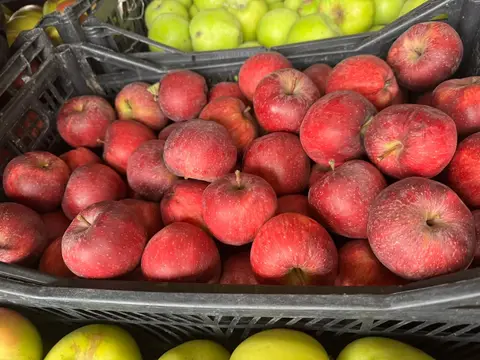 Apples are for sale, price 1.20 tel — 1.2₾