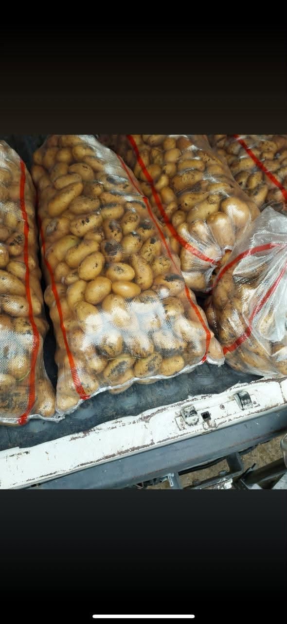 🥔 Yeni kartofil partiyası gəlib! 📍 — 55₾