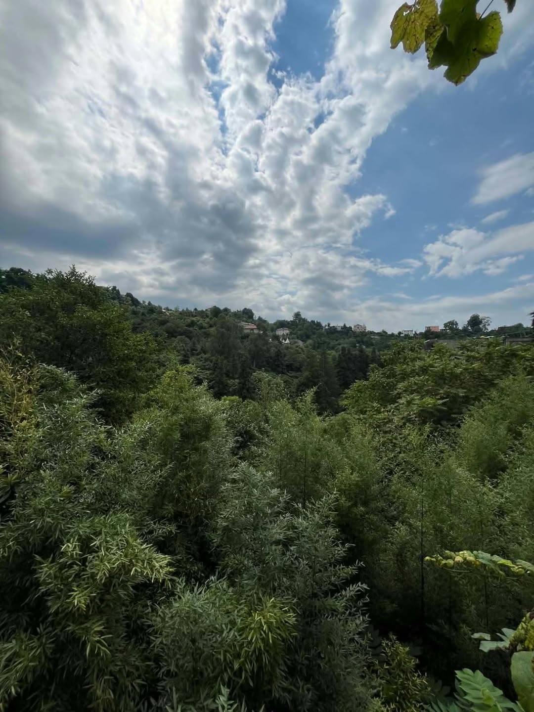 Həyət evi, Batumi — $700