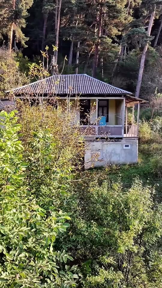 🏘️ Ev 🍀 🌲 Borjomi da meşə kənarında ev