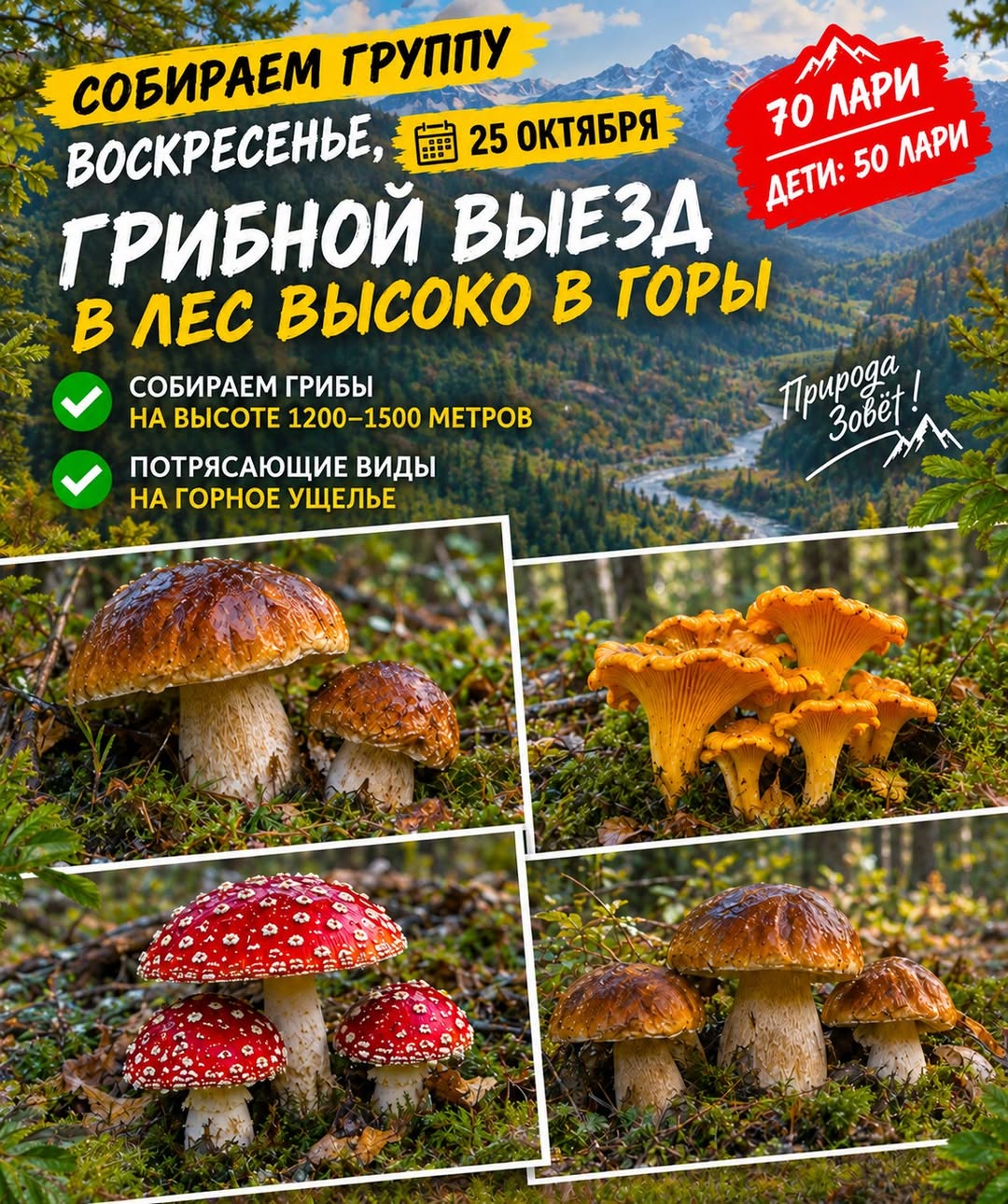 💥💥💥 კვირა, 25 ოქტომბერი ❤️ სოკოების
