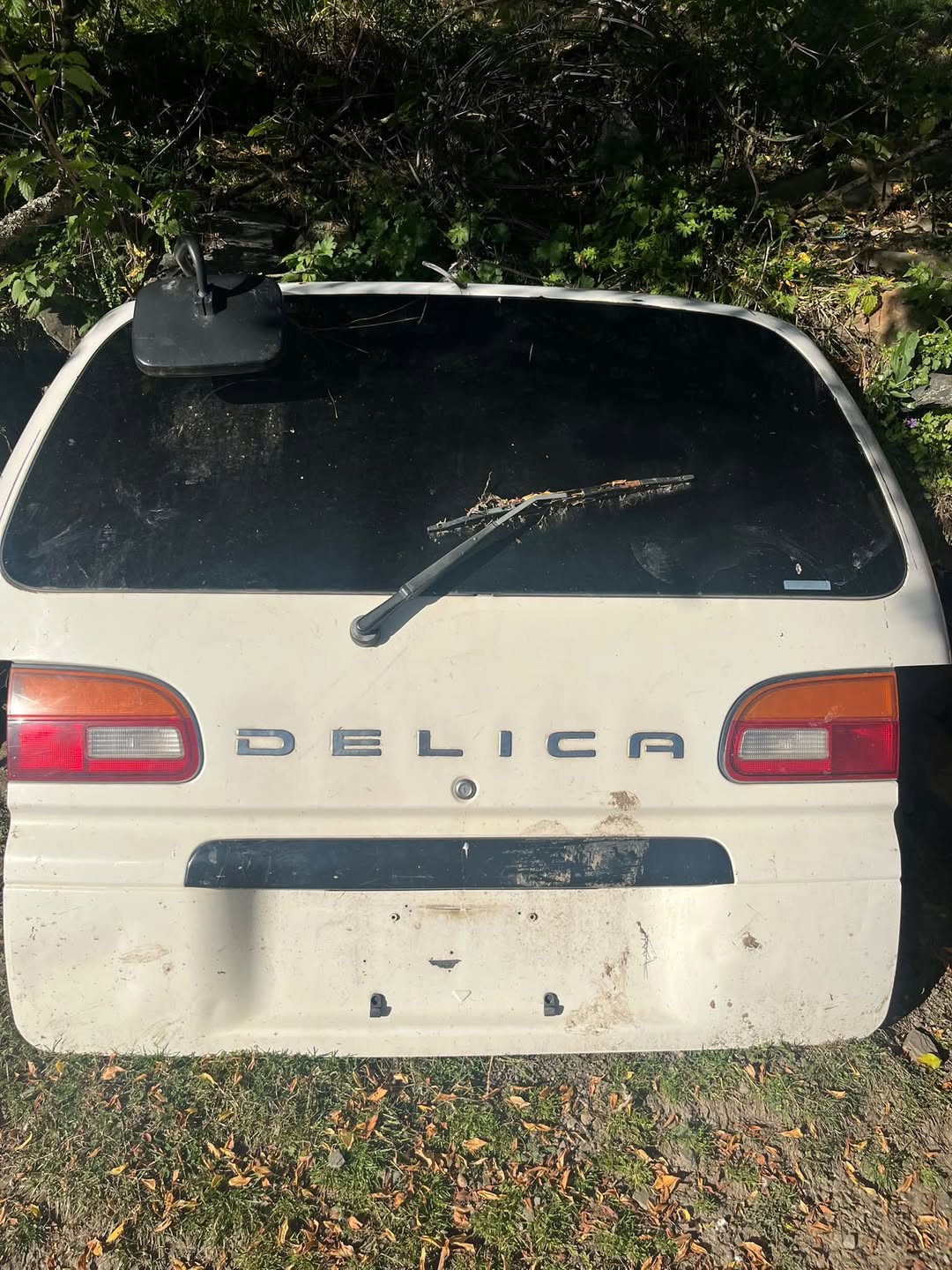 Delikisin bagajı, 250 lari