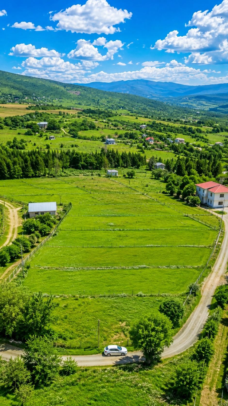 Torpaq — 4,700 დოლარი
