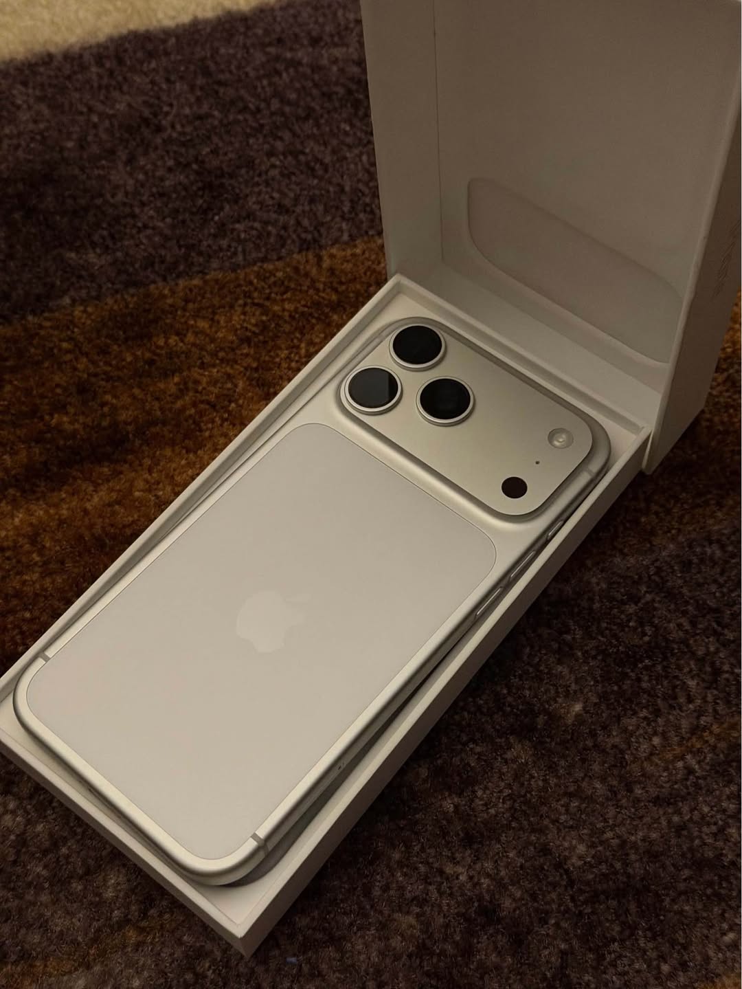 iPhone 17 Pro Max 256GB ვერცხლისფერი