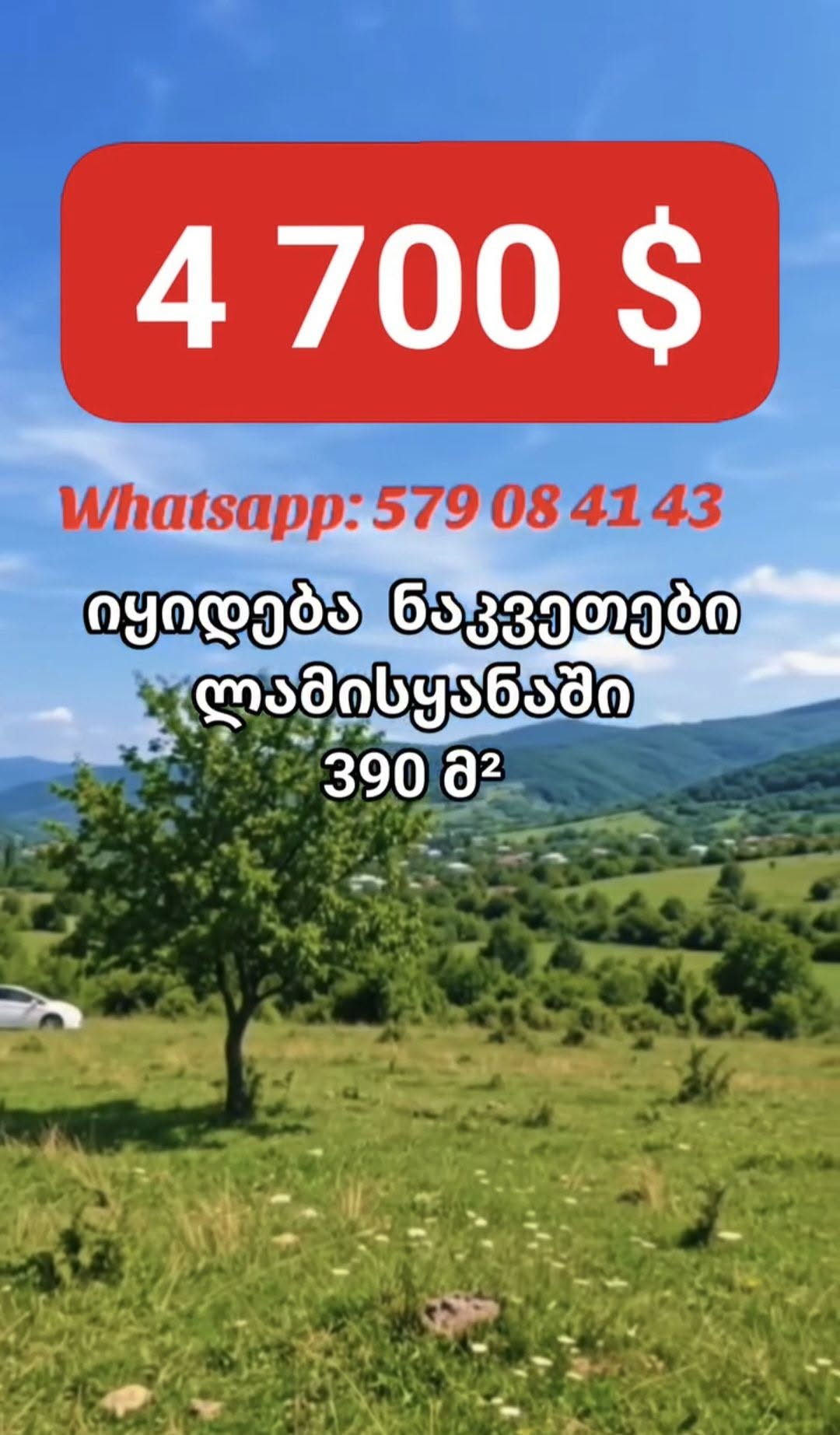Torpaq sahəsi, Tbilisi — $4,700