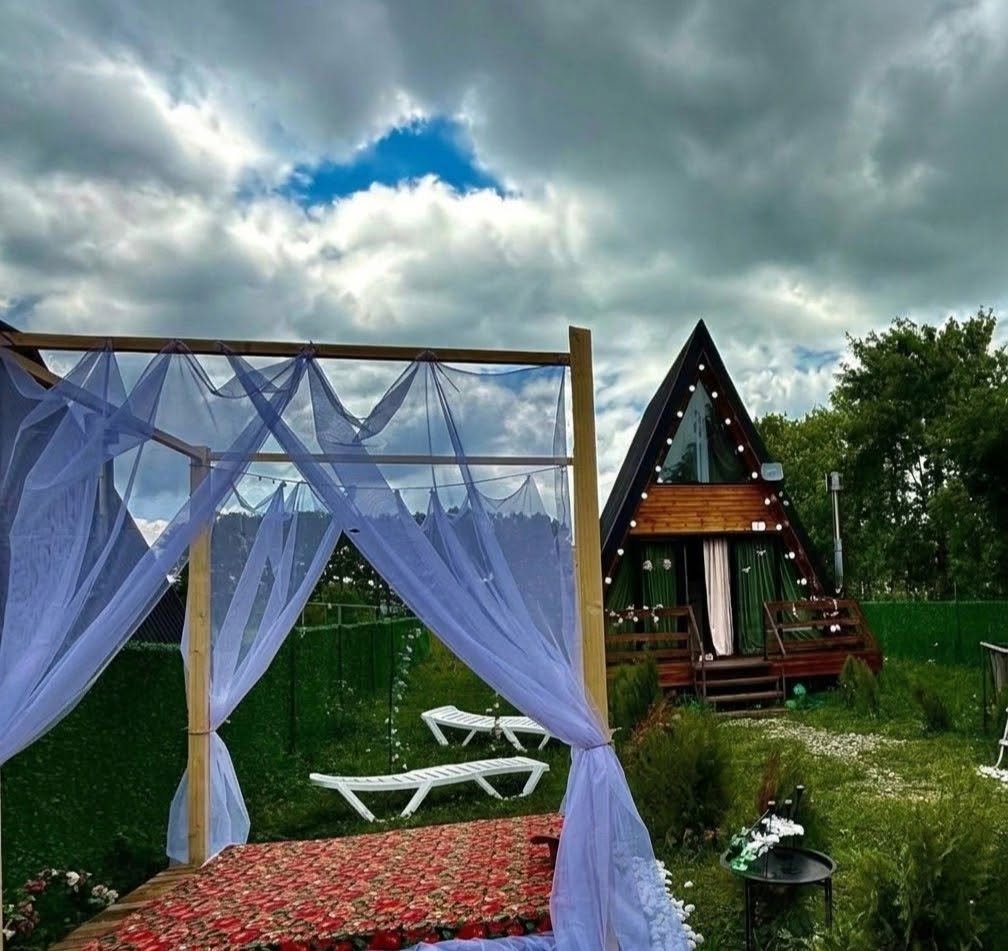 Առևտրային տարածք, Թբիլիսի