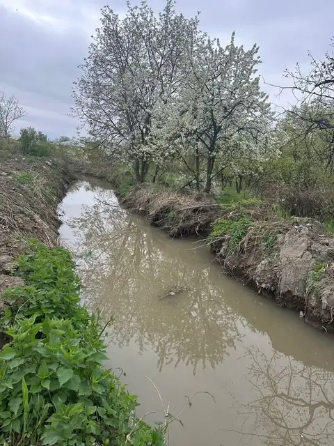 ტორპაკი - 25,000ლ