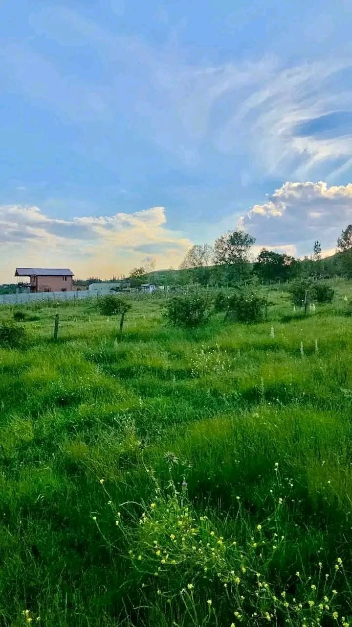 Land plot, Khelvachauri — $25