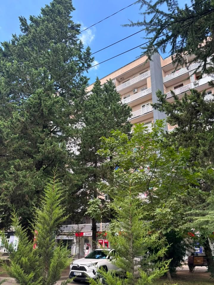 Վաճառվում է բնակարան, Քութայիս — $120,000