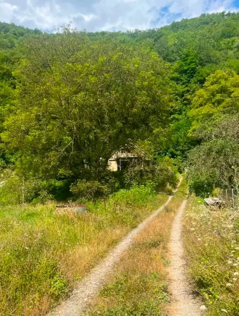 Ev, Duşeti