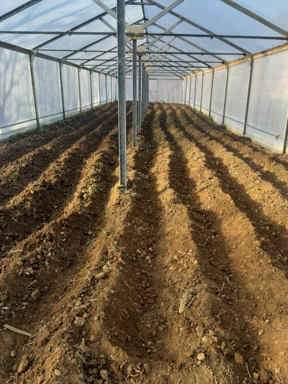Greenhouse structure for sale urgently. Both greenhouses