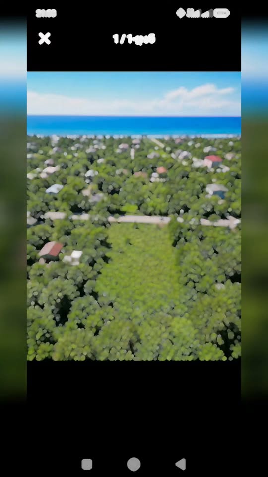 Arazi, Poti — $4,700