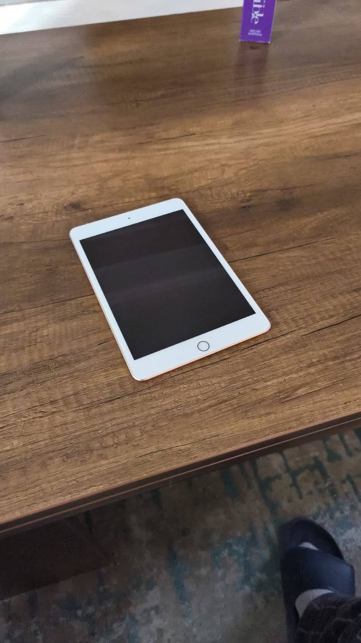 iPad Mini 5 64GB, батарея 86%