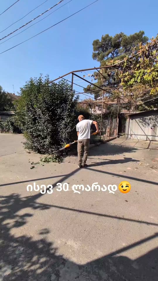 թիկնոցների կտրում և մաքրում