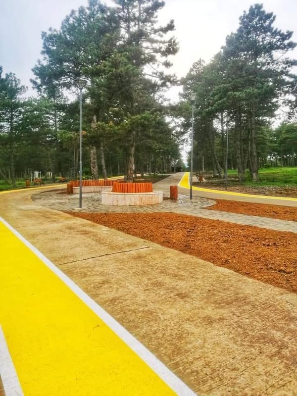 I bought a children's chair and table for 50 lari
