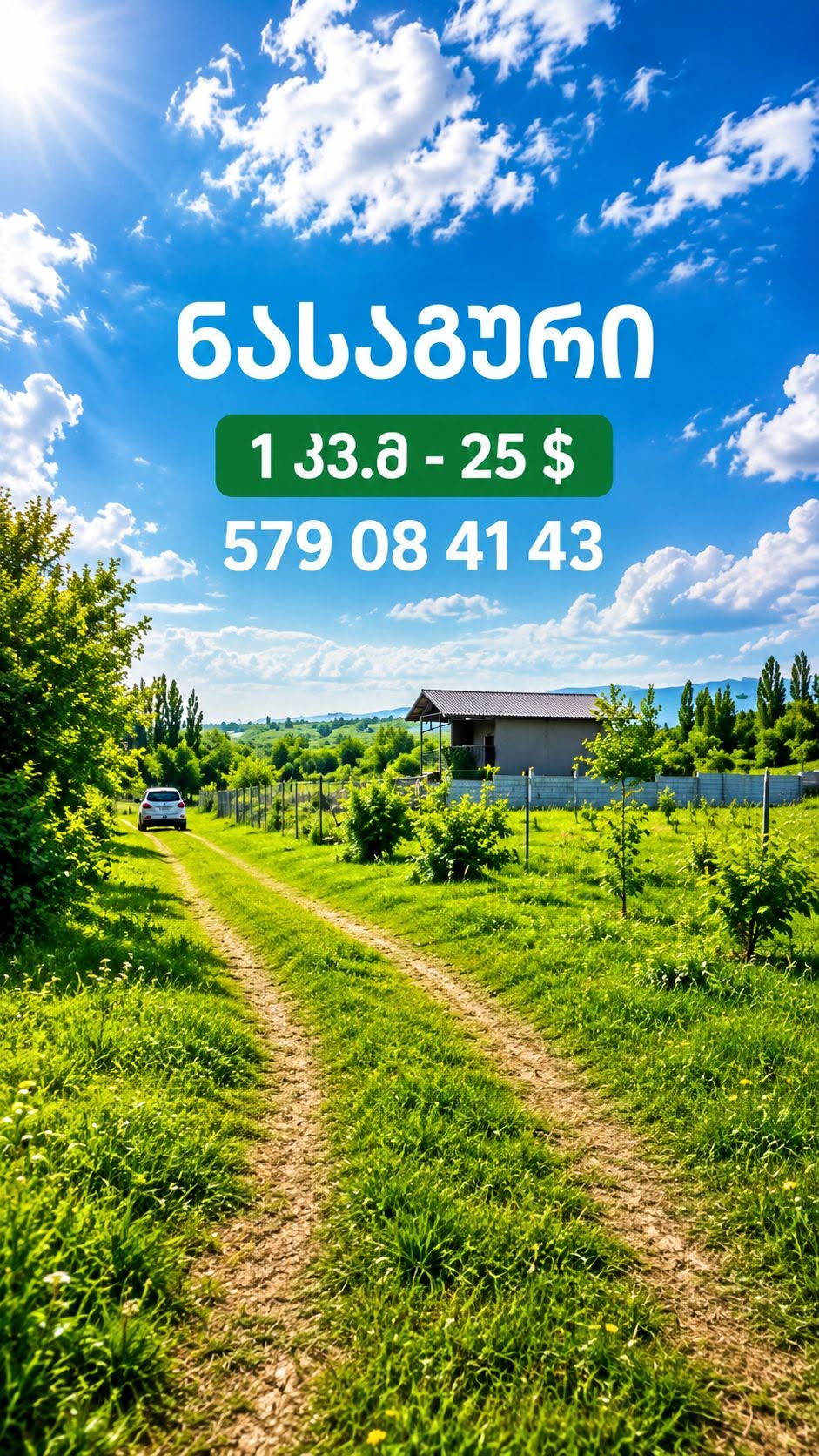 მიწის ნაკვეთი, ხელვაჩაური — $25