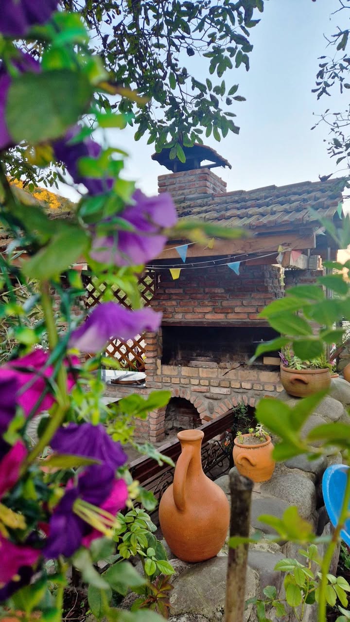 House, Senaki