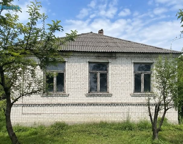 Sahli, Bəyəzər — 49.000 $