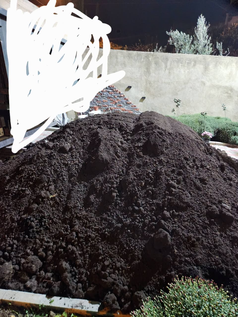 🌱 лесной чернозём, плодородная земля! 🌱