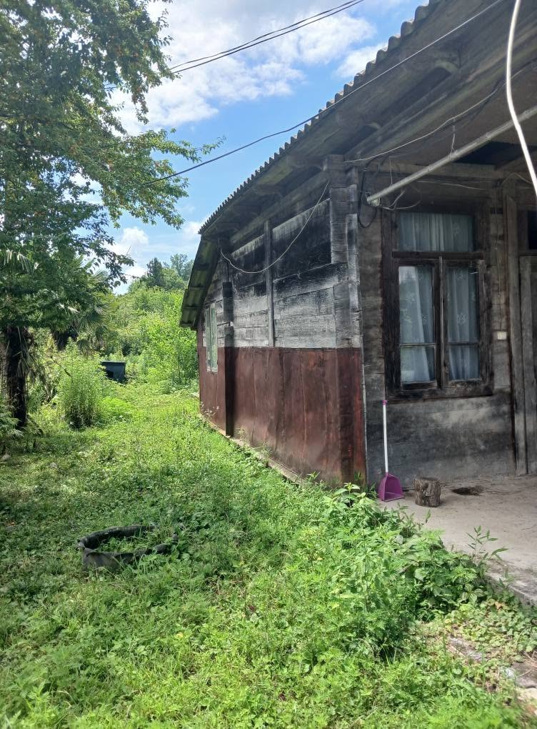 50 bin lari ile Ozurgeti'nin Nagobilevi köyünde