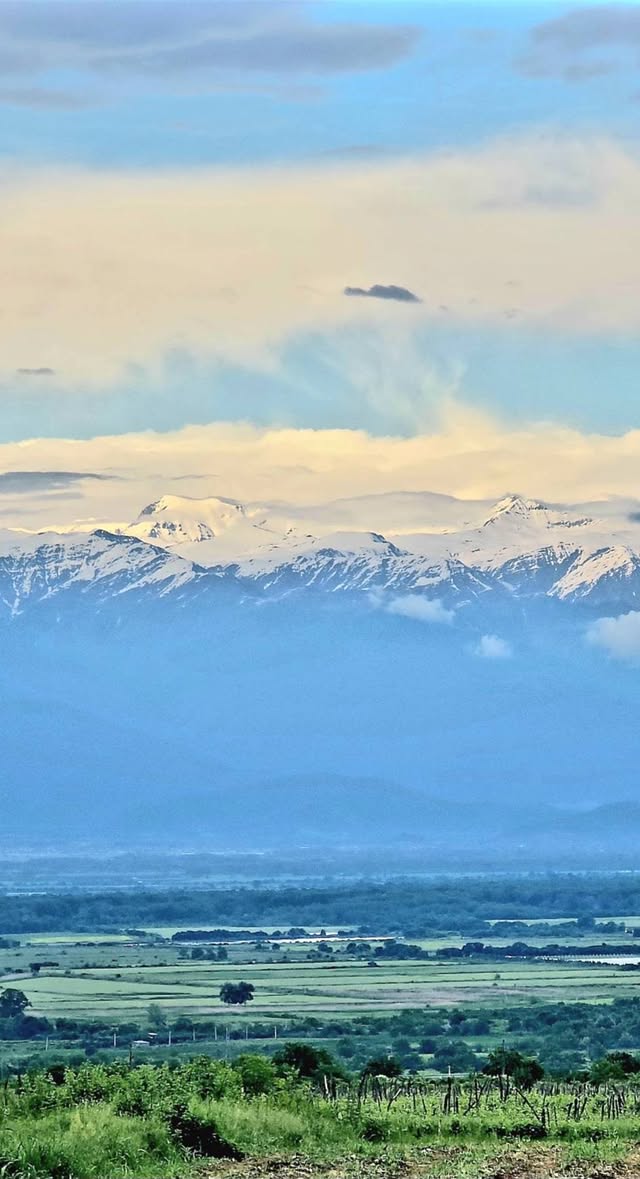 🏔️ Kaxetidə yaşayış evi | 1000kv.m. - 5,000$