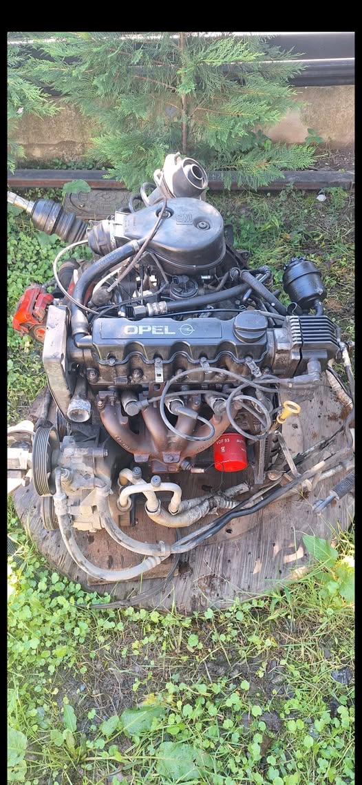 Selling for 600 lari cash