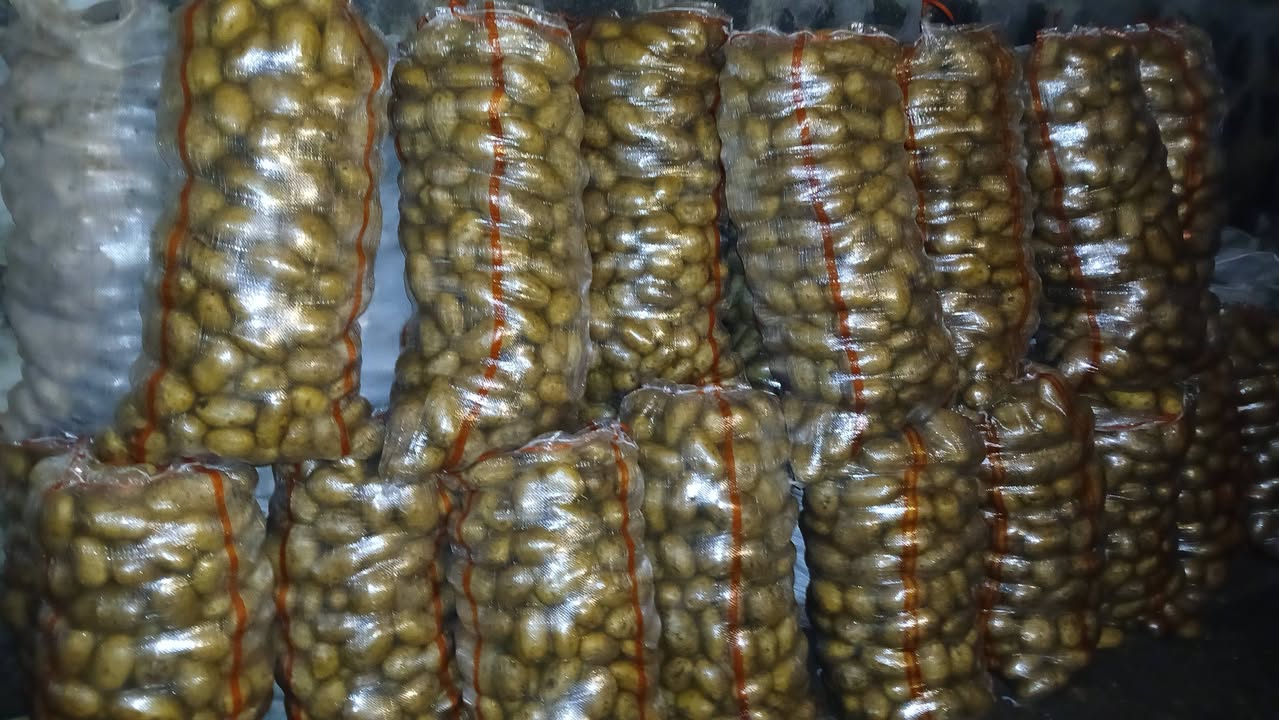 Satılık, süper iri patates, konum Ahalkalaki