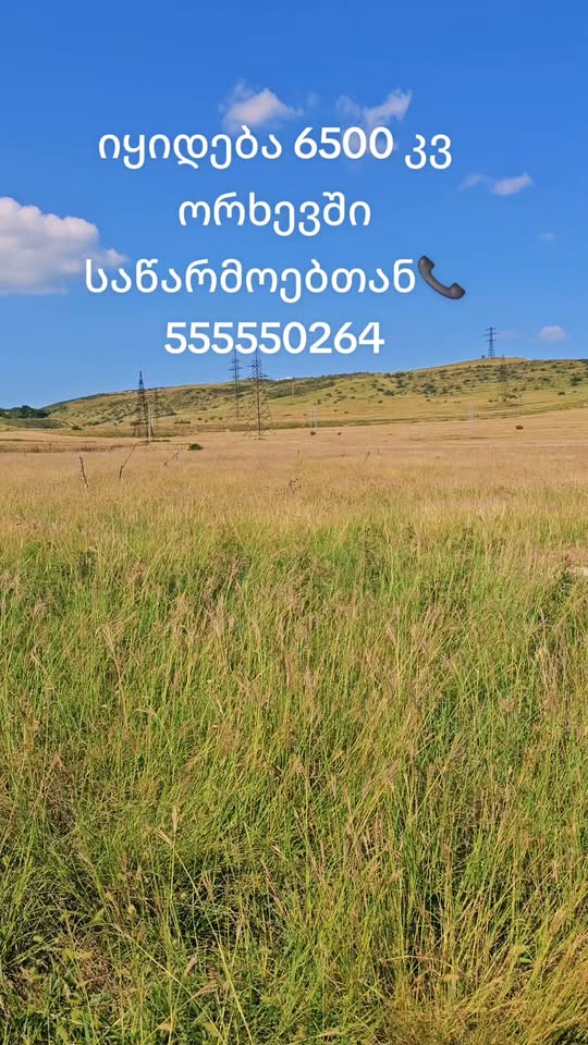 Arazi, Tiflis — $60
