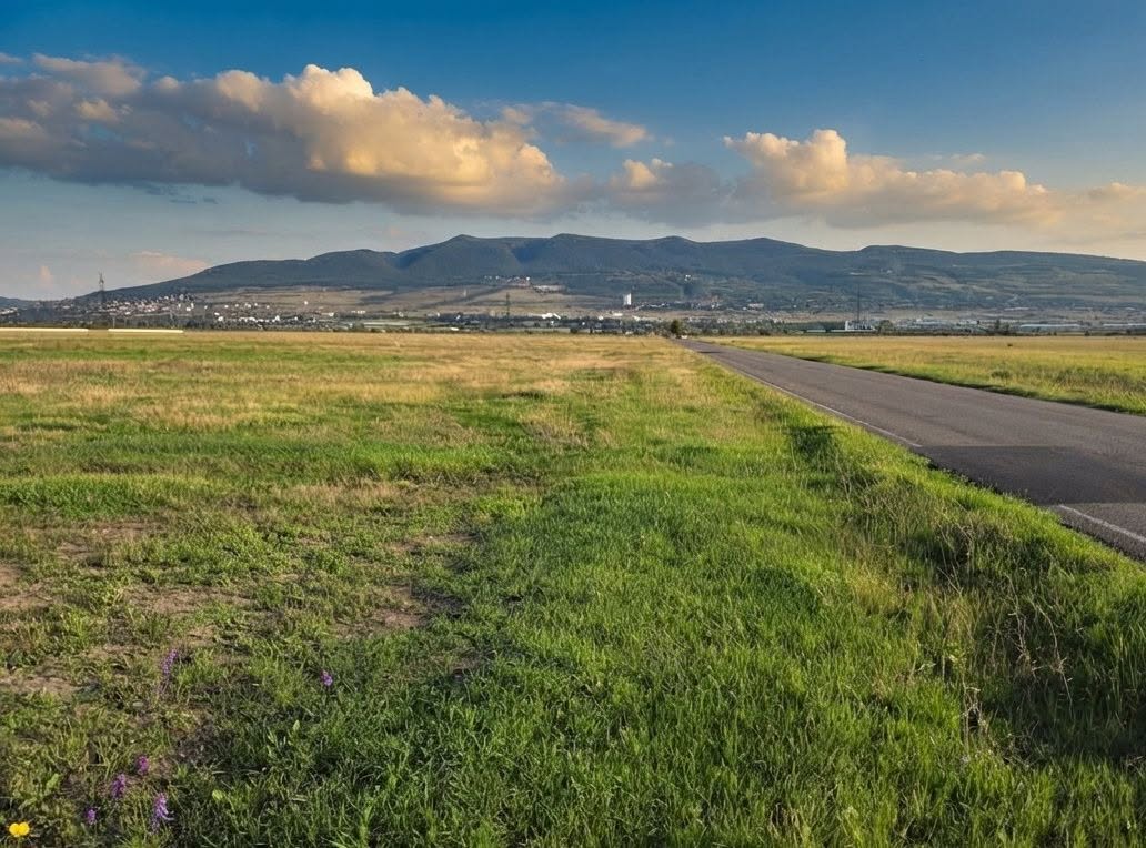 Ideal possibility in Tbilisi: 800 sq.m for sale