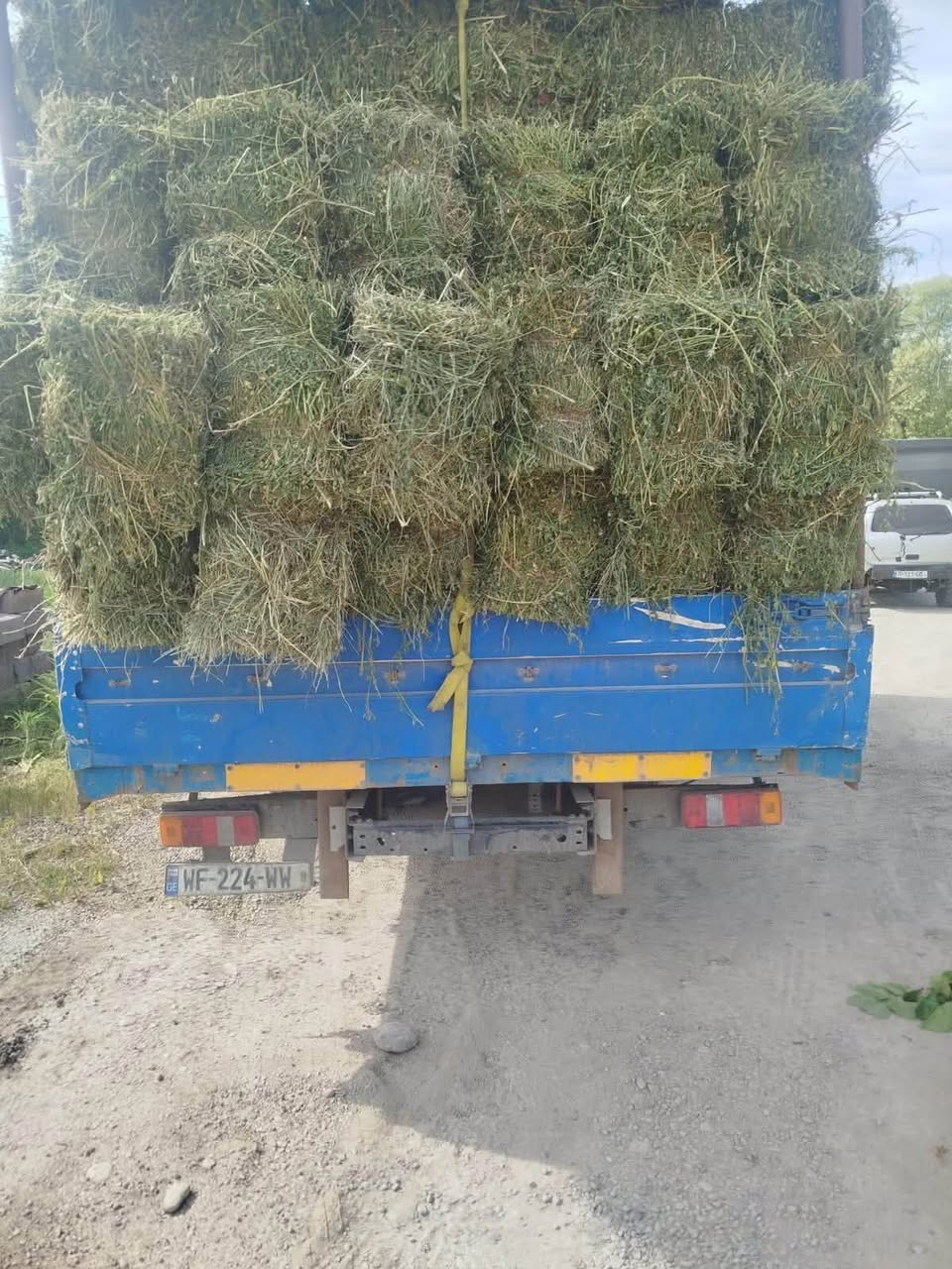 Ионджа приходит на запад с зелеными чашками для весов