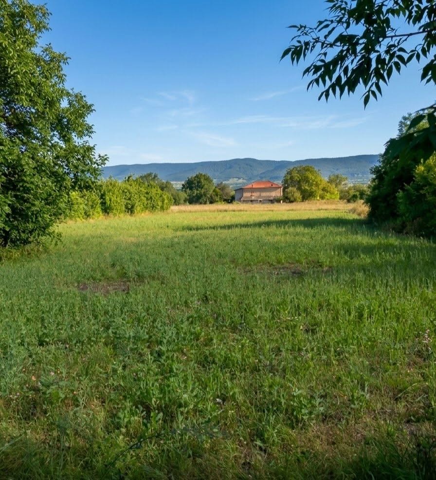 Tiflis arazisi