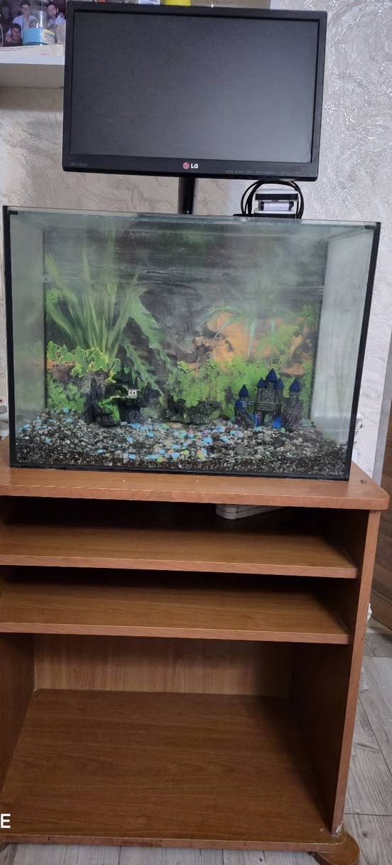 🐠 Продается 70 литровый аквариум