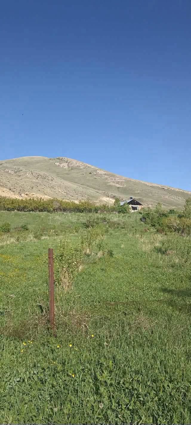 Arazi, Vanadzor