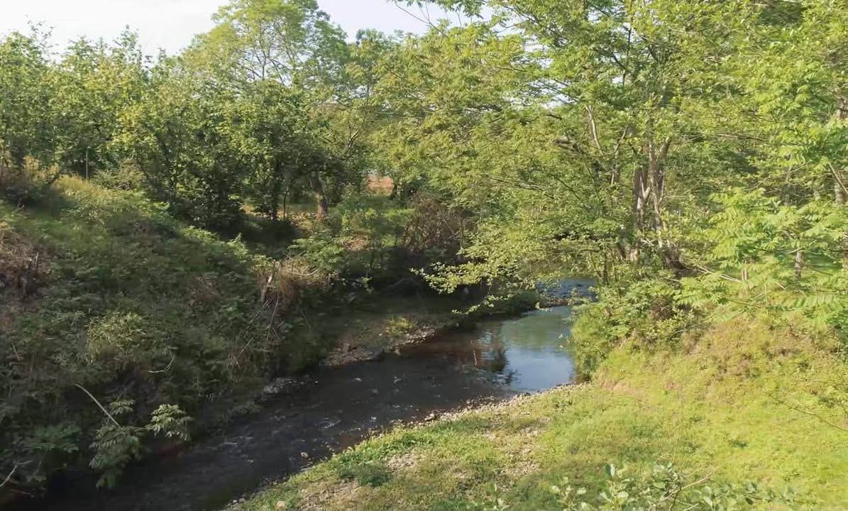 Երկրամաս, Կոբուլեթի