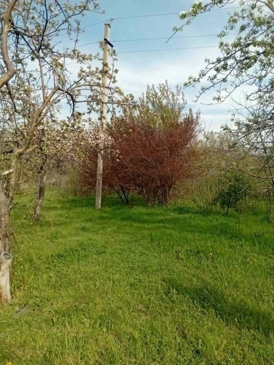 Продается 1000 м² сельскохозяйственный участок — 15$