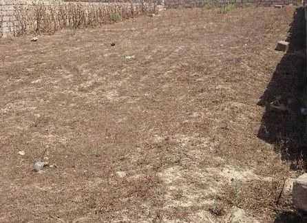 Land for sale, Qala, Xasaxuna gardens