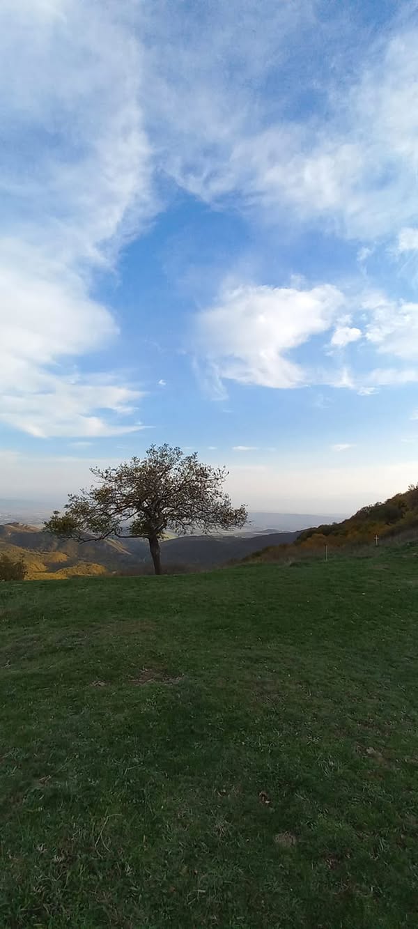 საჭიროა მუშა ხელები სახნავზე