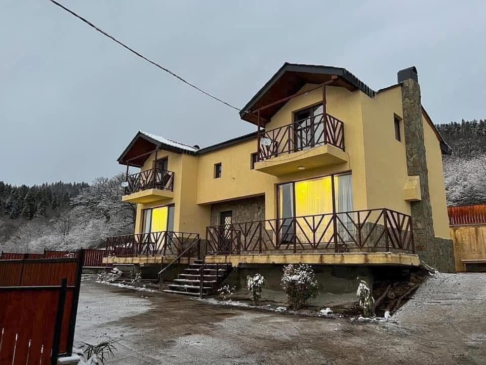 სახლი, ბორჯომი
