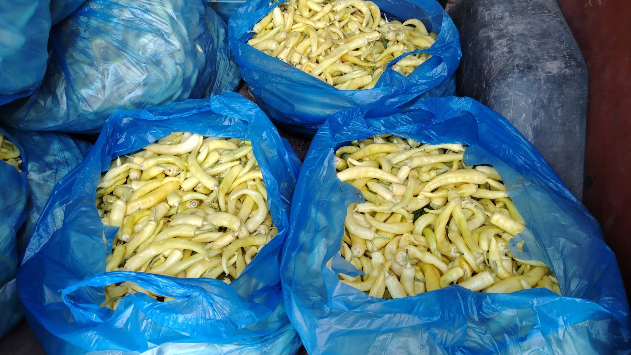 🍎🥔 ხილ-ბოსტანი — თქვენს სახლთან! 🧅🥒 — 200₾